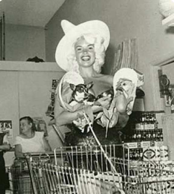 Jayne Mansfield WIth Chihuahuas