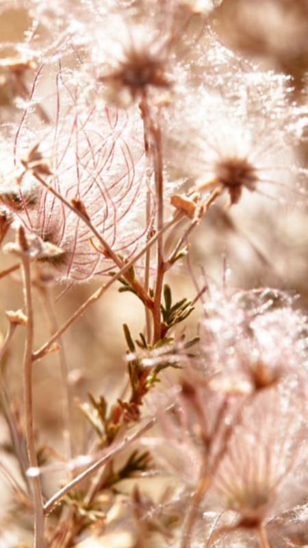 angelcandices~1555957163~2027838139703552397_43114731