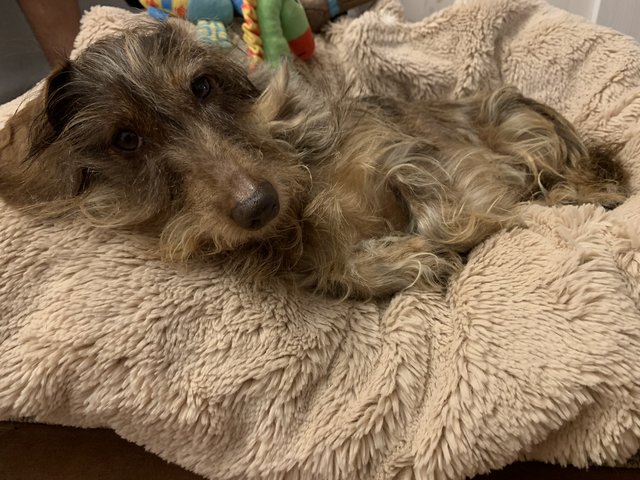 [Image: 49-B1-C0-A4-D2-D6-4368-AAB5-DDB743760-D36.jpg]