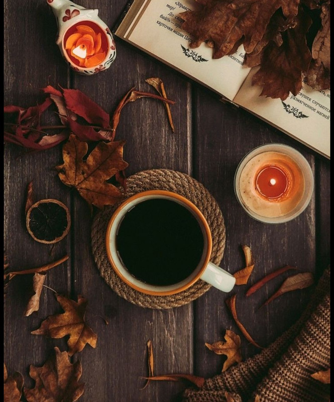 Screenshot_20251004_220952_Pinterest