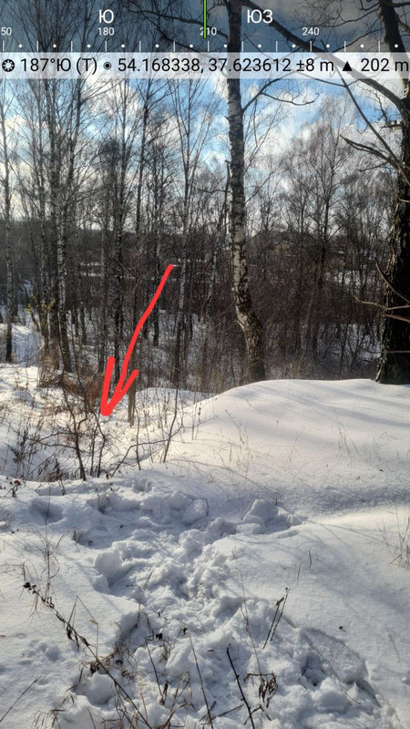 IMG 20231129 111714 873 — Postimages