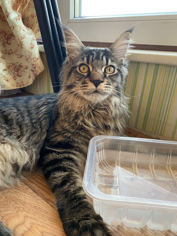 FF4BD856-8BF1-4C62-8B28-60EAD814C3FF