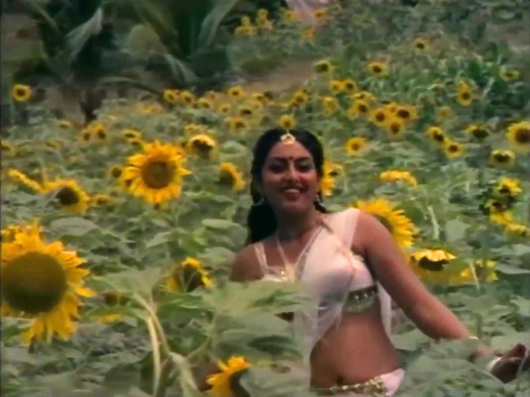 vlcsnap-2023-02-11-09h36m43s520