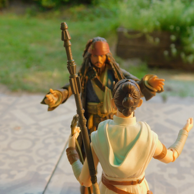 Дачно-Харлинский июнь-июль 2024 233