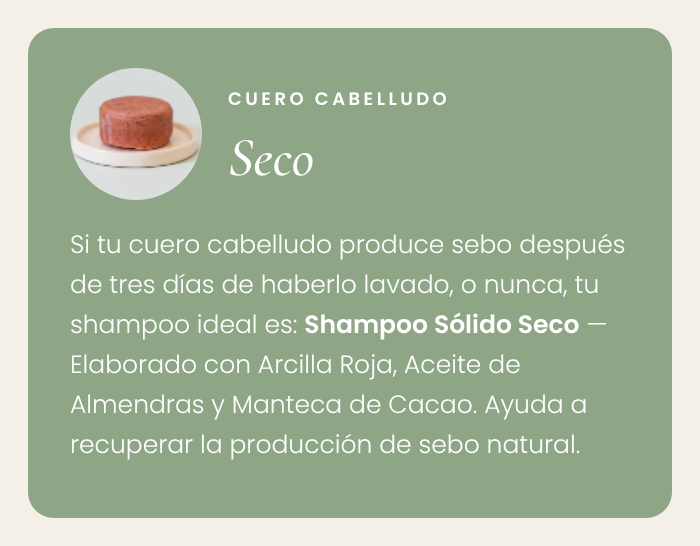 Shampoo Sólido Seco