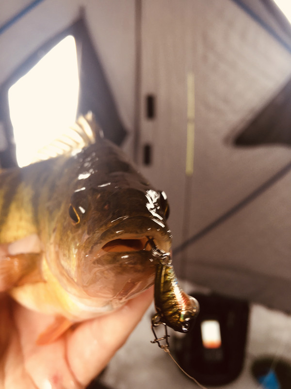 B7F563E1-62D0-441F-8915-32D724D8200D