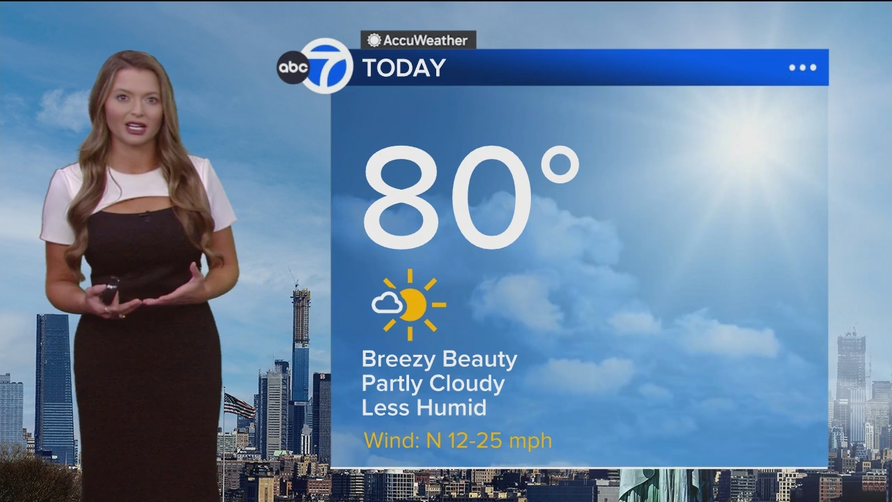 Eyewitness News Mornings at 10_20240701_15001600.ts_snapshot_00.19.40.453