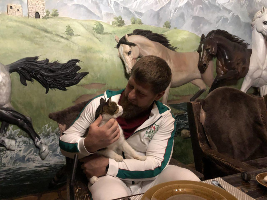 photo_2018-08-08_21-49-15