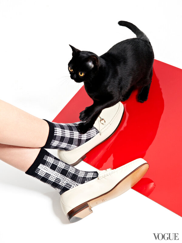 cats-kittens-flats-shoes-22-16190580140