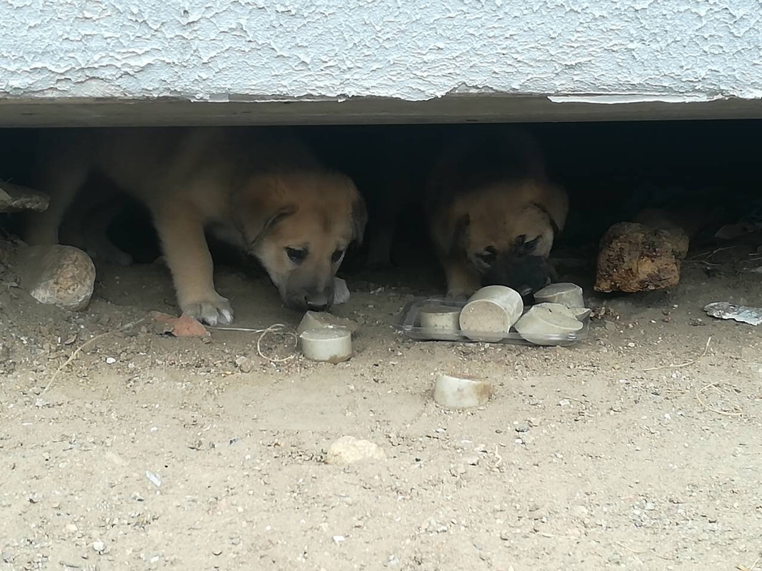 IMG_0351-27-10-18-02-44