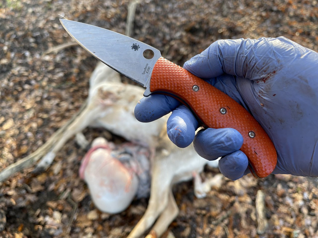 52632423-3032-47CF-83A3-F70356001286