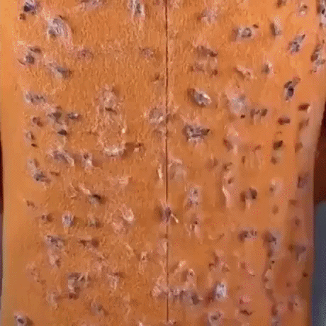 https://i.postimg.cc/ZRv1czFN/3.gif
