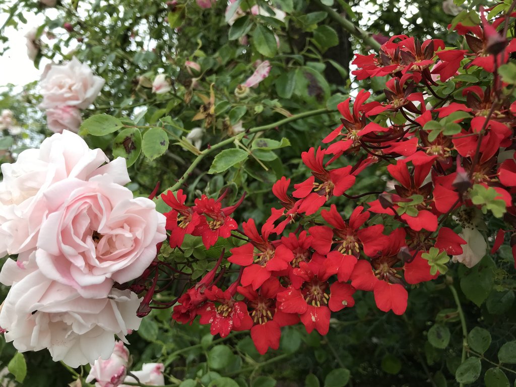 IMG_2340