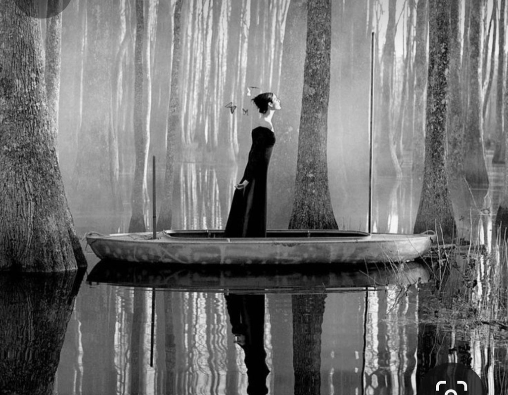 Screenshot_20231217_225627_Pinterest