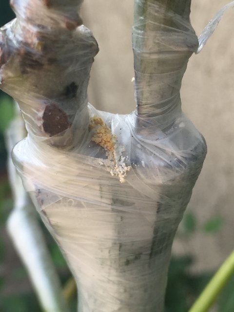 C77DF864-8E9E-42DA-A026-EF4A6294CFBB