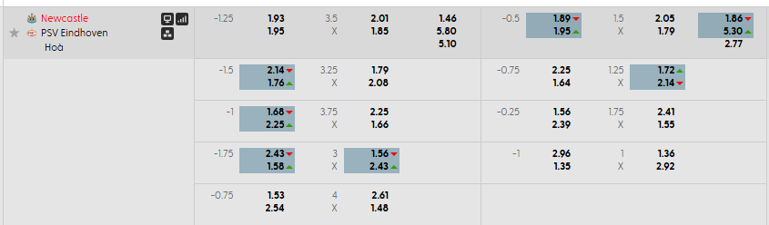 Tỷ lệ kèo Newcastle vs PSV