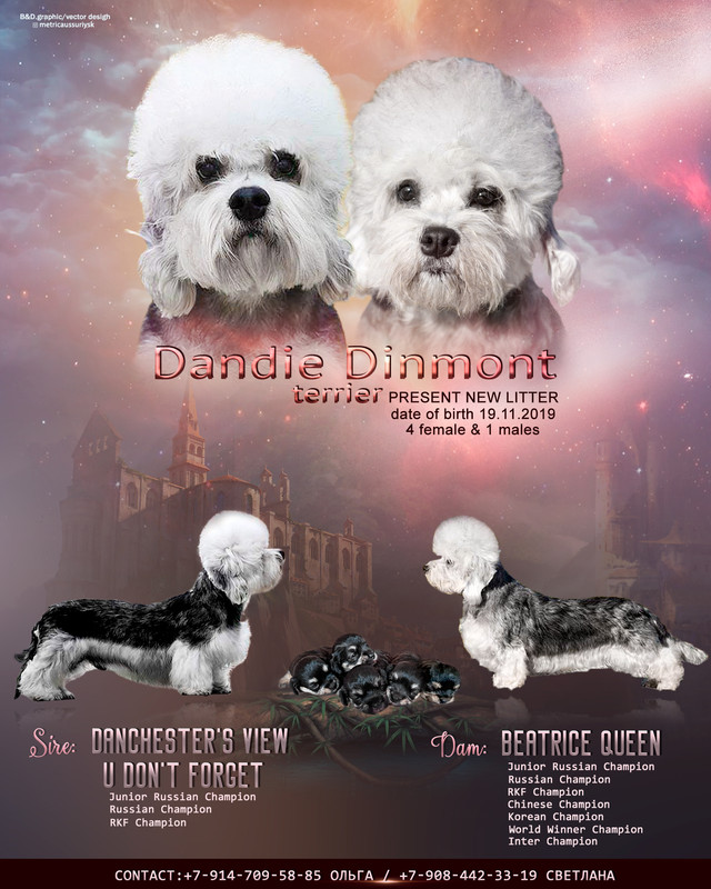 презент.тер2