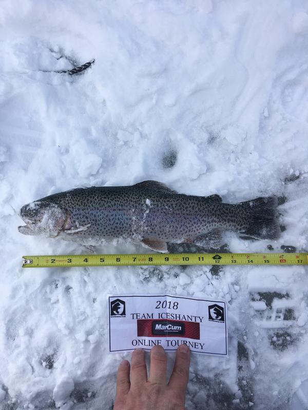 johns 16 trout