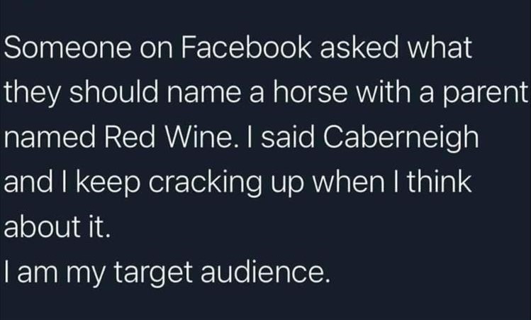 name_baby_horse_caberneigh.jpg