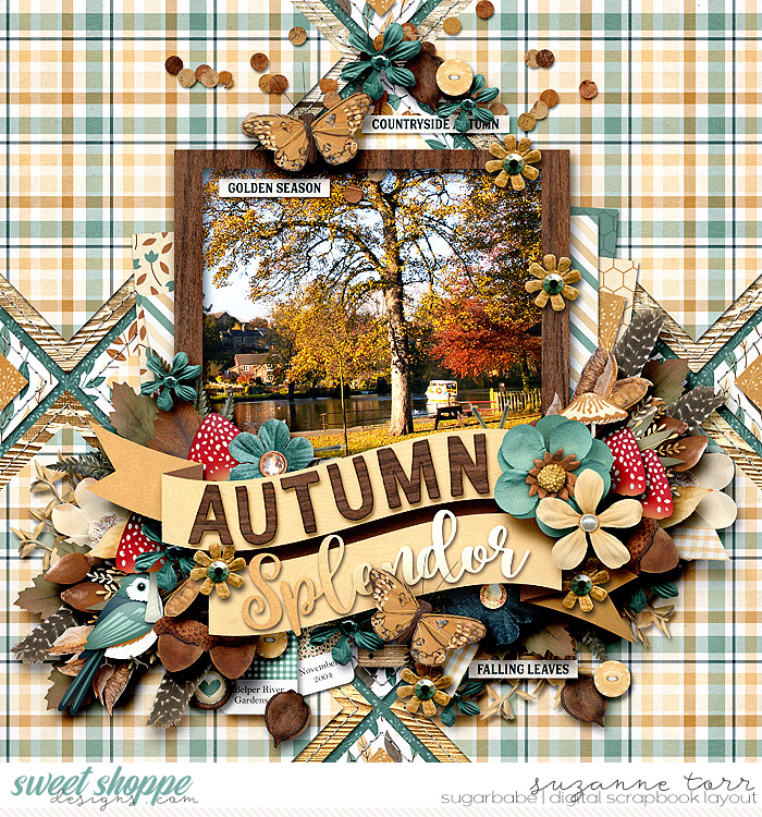 Suz-Countryside-Autumn-700WM.jpg