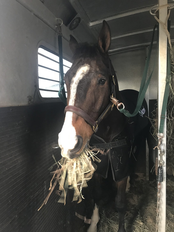 9B2E5BDC-33C8-4655-943D-0043D77BAD1B