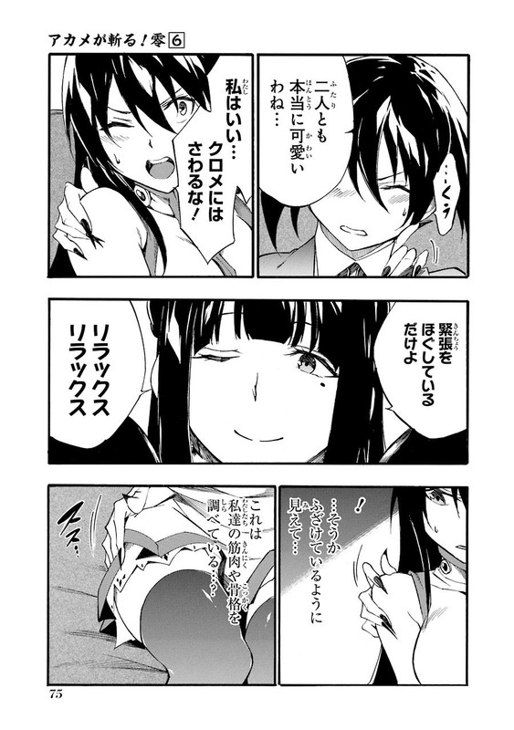 Akame ga Kill! ZeroVol6-12