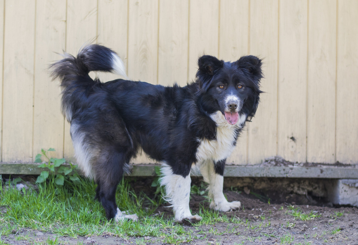 Фортуна_04_19_м13