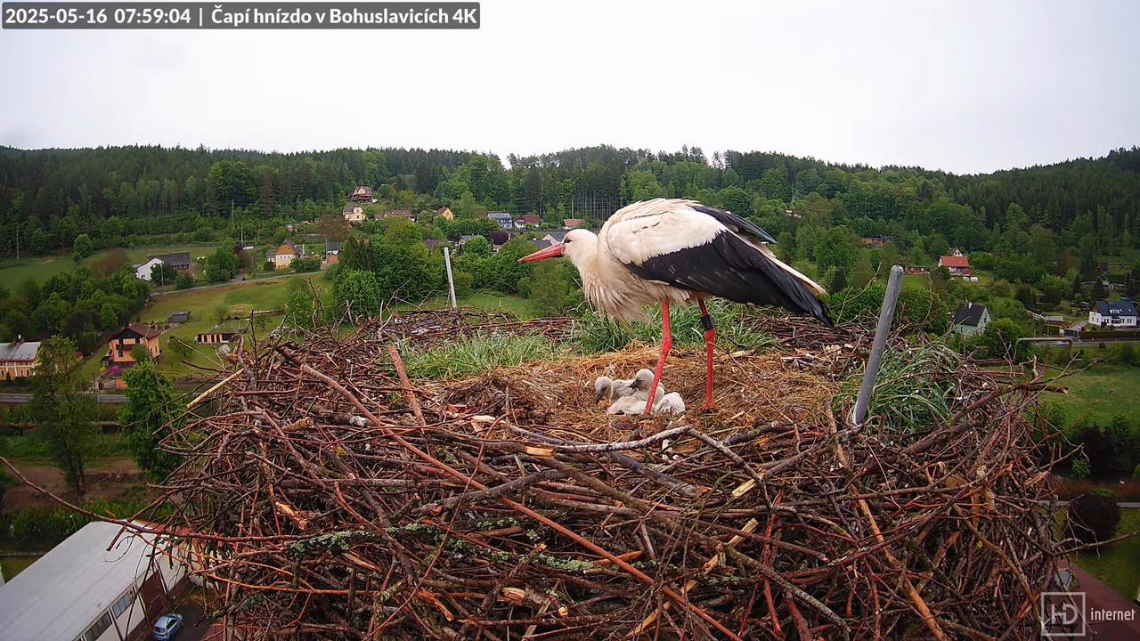 Tiešraide no KARA uzņēmuma stārķu skursteņa Bohuslavicē netālu no Trutnovas 7-45-49 screenshot