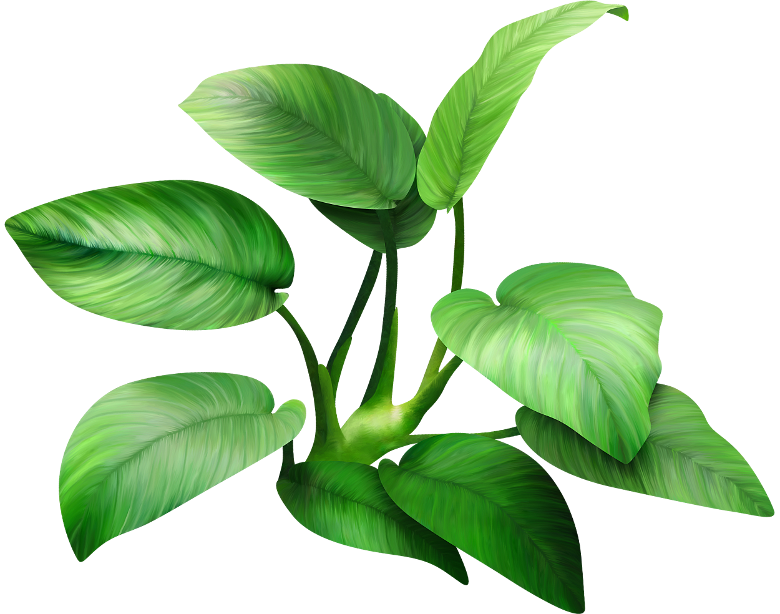 Into The Jungle (120)