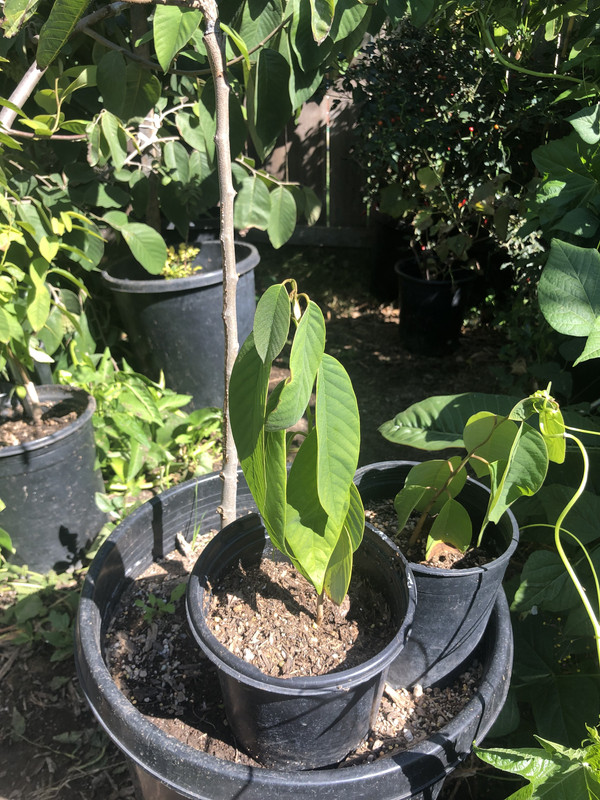 F428137C-58A5-4AA7-8B60-760B1A8F6F29