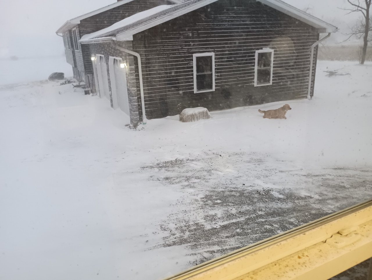 IMG 20251229 162827830