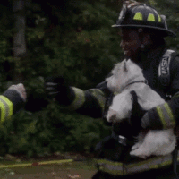 to-the-rescue-av2.gif