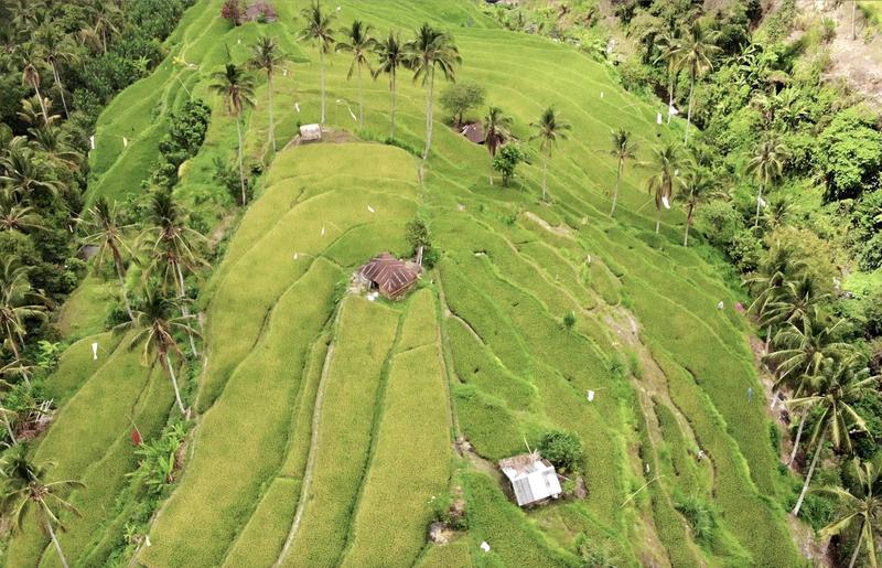 Singapur e Indonesia 2018 - Blogs de Indonesia - Bali (más cascadas y templos) (6)