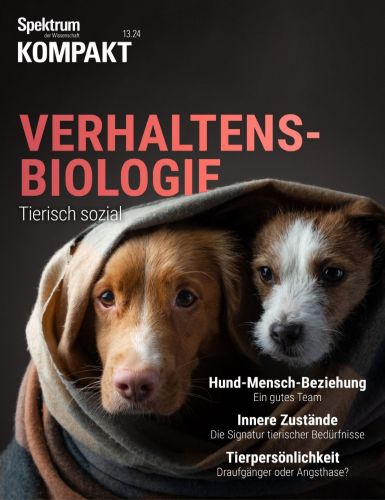 Cover: Spektrum der Wissenschaft Kompakt April No 13 2024