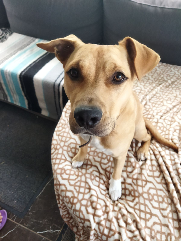 изображение_viber_2022-01-20_12-12-30-737