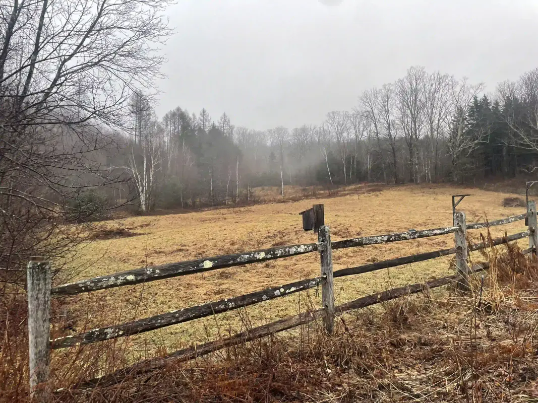 A photo of a large meadow with a lot of aspen behind it, and a fence in front of it-- close to the camera.