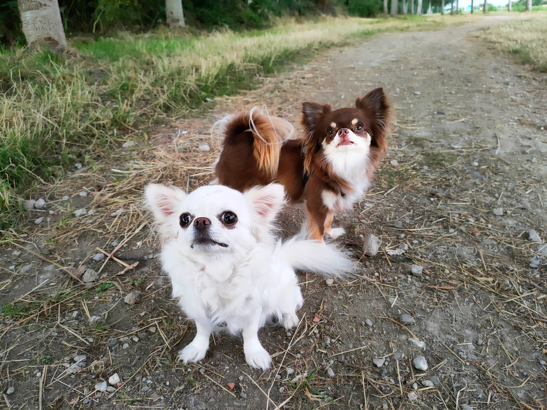 Lumii_20210725_213533811