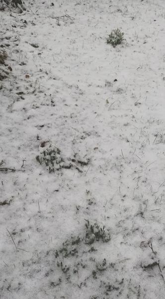 Externes Bild, es gelten die Datenschutz- und Nutzungsbestimmungen der ausgewählten Seite.