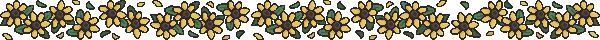 a large row of sunflowers