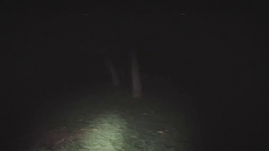 eap5e7d6ofn6.png