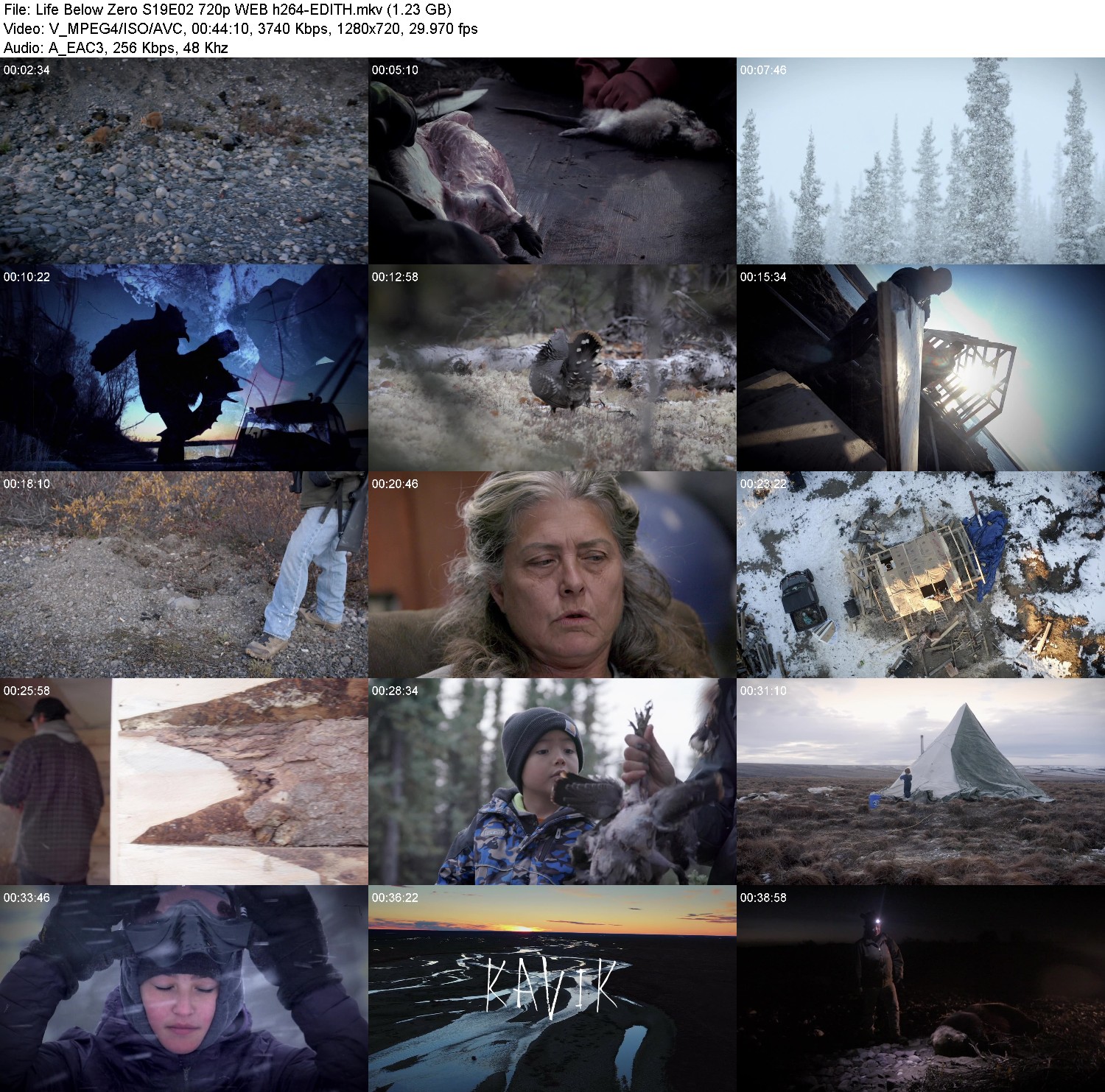 [Image: blv4yh21zh5e.jpg]