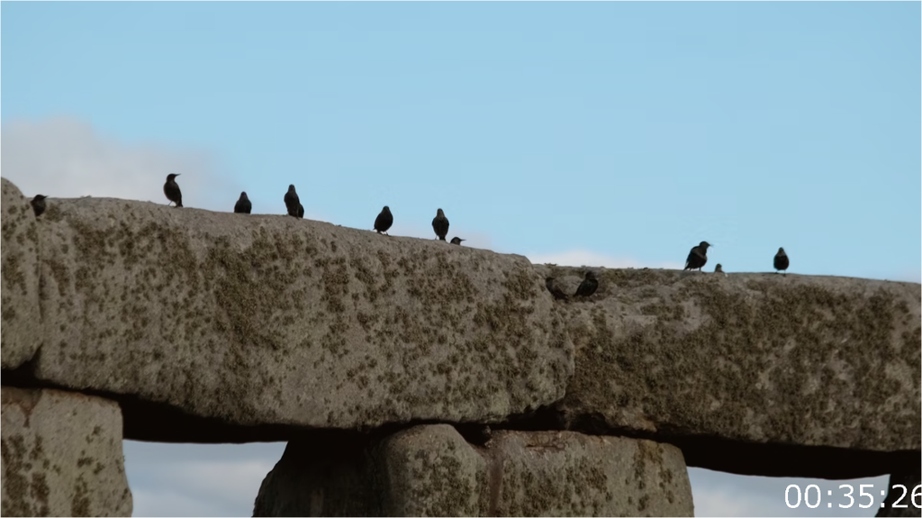 [Image: 4nx4yup8v9vc.png]