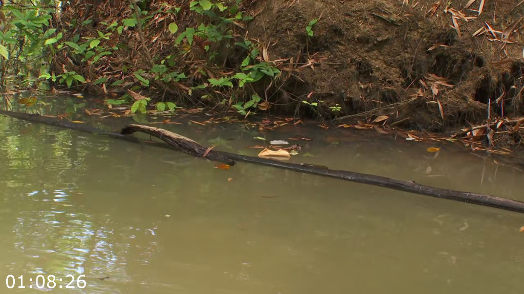 [Image: hmy7r318wown.png]