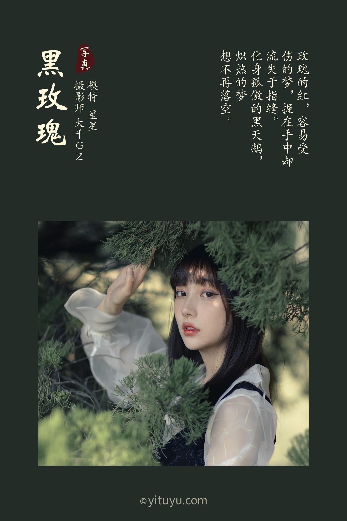 [YITUYU艺图语] NO.030 星星 - 黑玫瑰 35