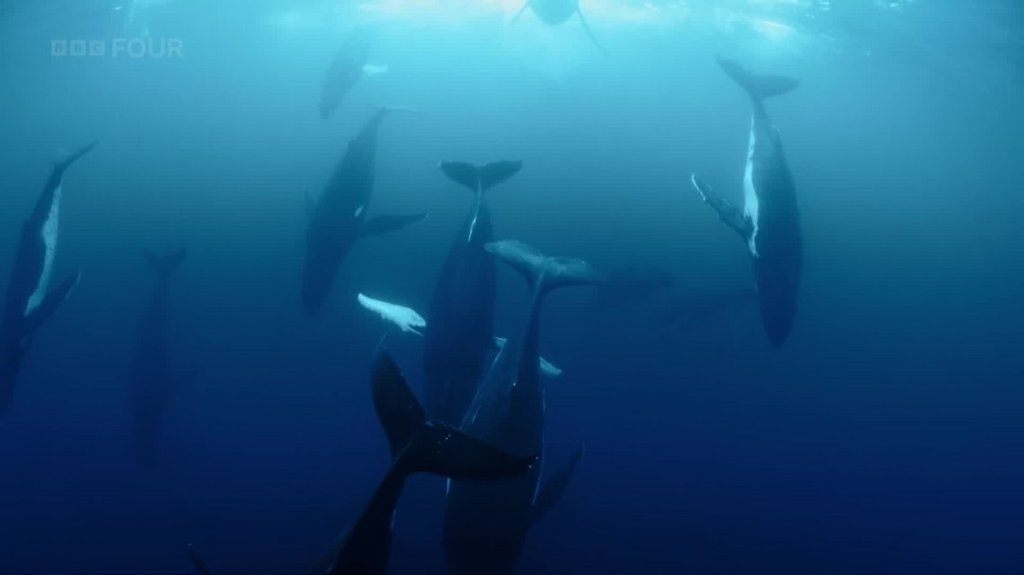 [Image: kg9td7d5rs2f.jpg]