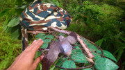 Taman-Kempas-(Tangki-Air)-050913-(1)