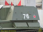 IMG-8284