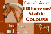 HEE Stable Set