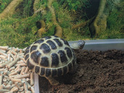 photo5242475564860813920