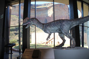 IMG-0747